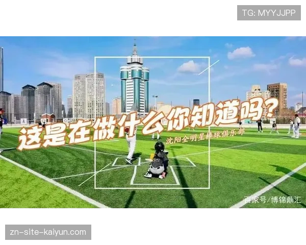 青少年体育培训市场:棒球装备成本与场地要求对运动普及率的影响机制研究 青少年体育培训市场:棒球装备成本与场地要求对运动普及率的影响机制研究